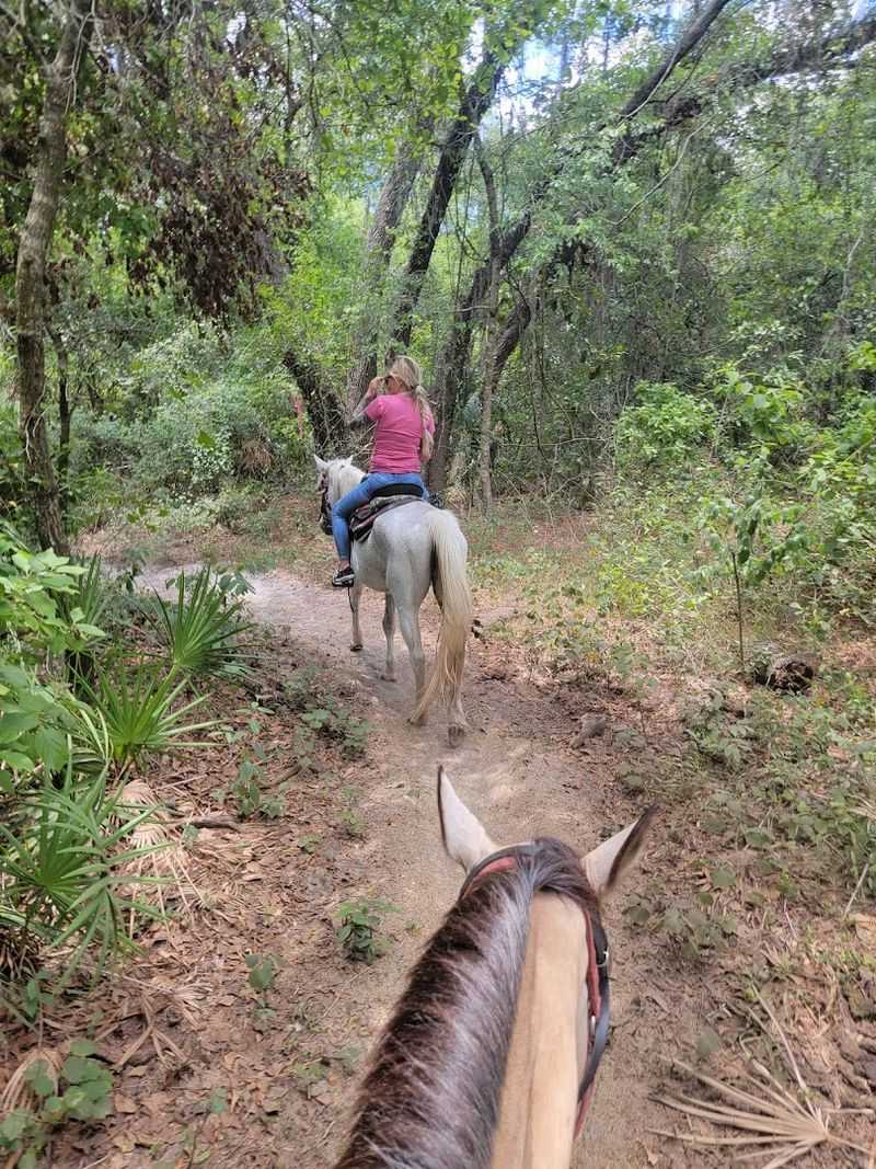 Family Fun That Works for All Ages