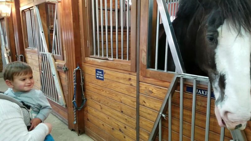 The Staff Makes Every Visit Better