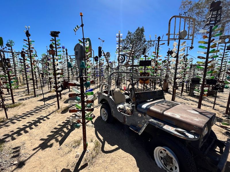 Practical Tips Before You Go