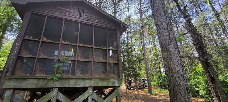 Camping Options for Every Type of Outdoor Sleeper