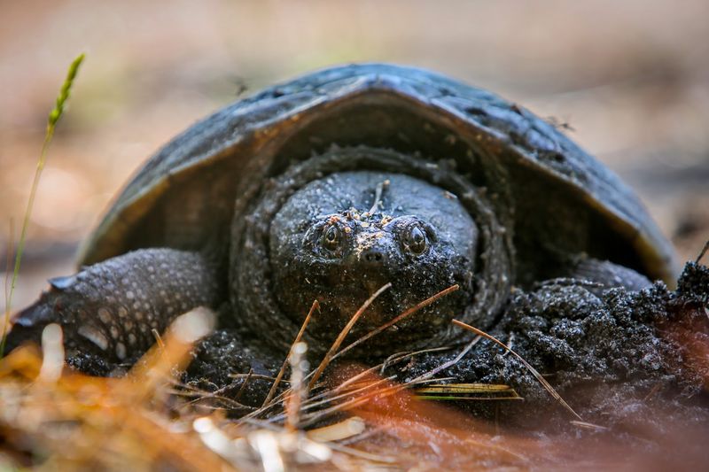 History in the Landscape