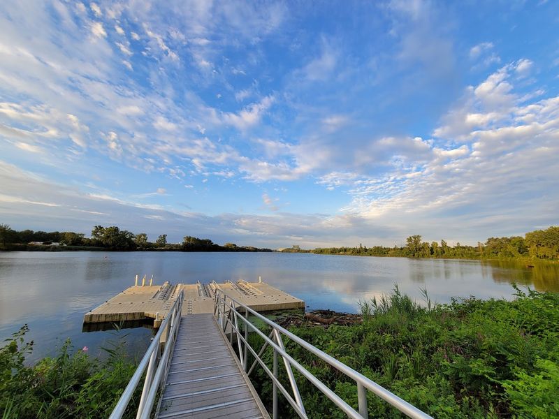 Bald Eagles, Turtles, and a Photographer's Best Day Out