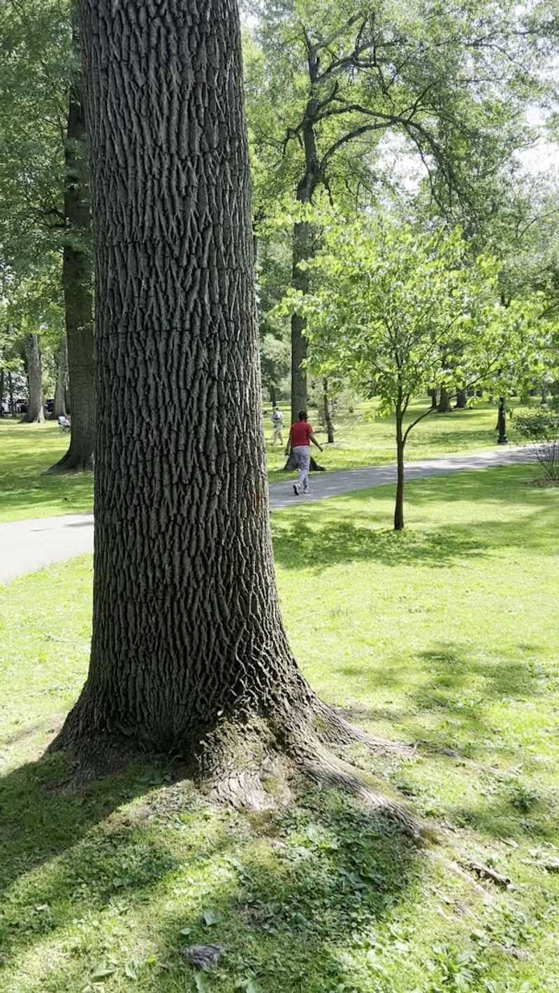 Picnic Culture Done Right