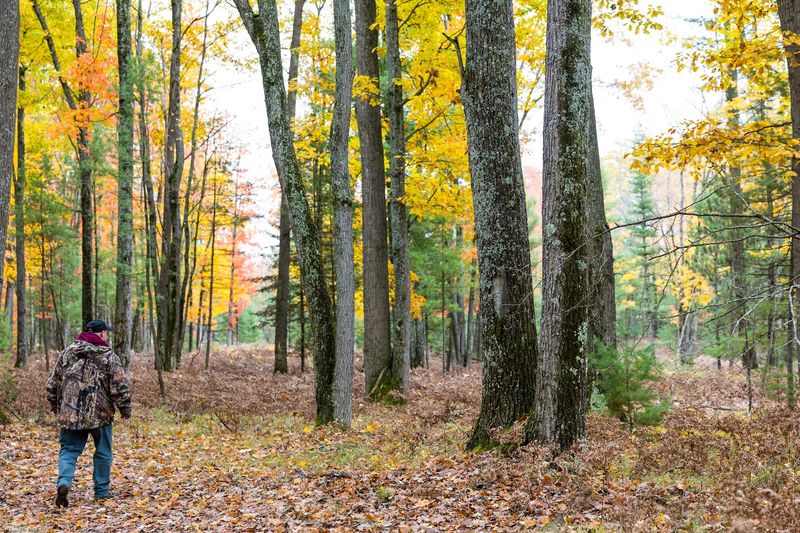 Wildlife Beyond Deer: The Other Residents of the Ranch