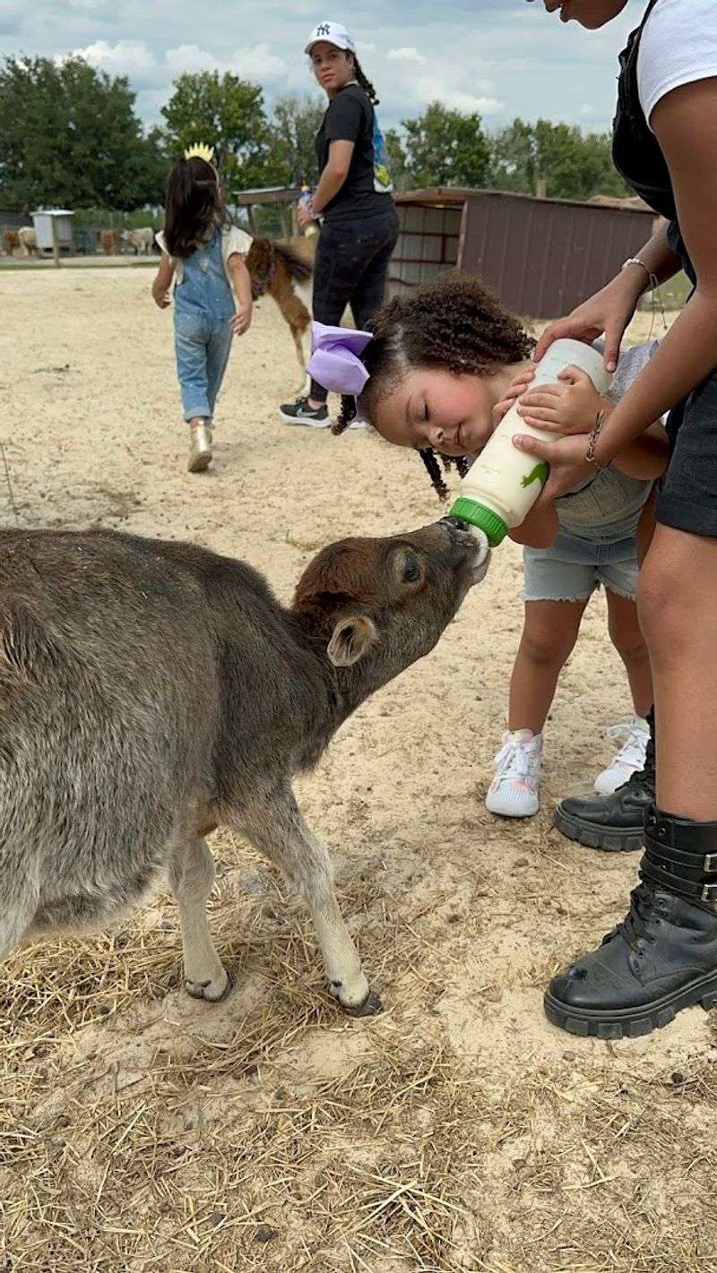 Hands-On Animal Interactions for Every Age