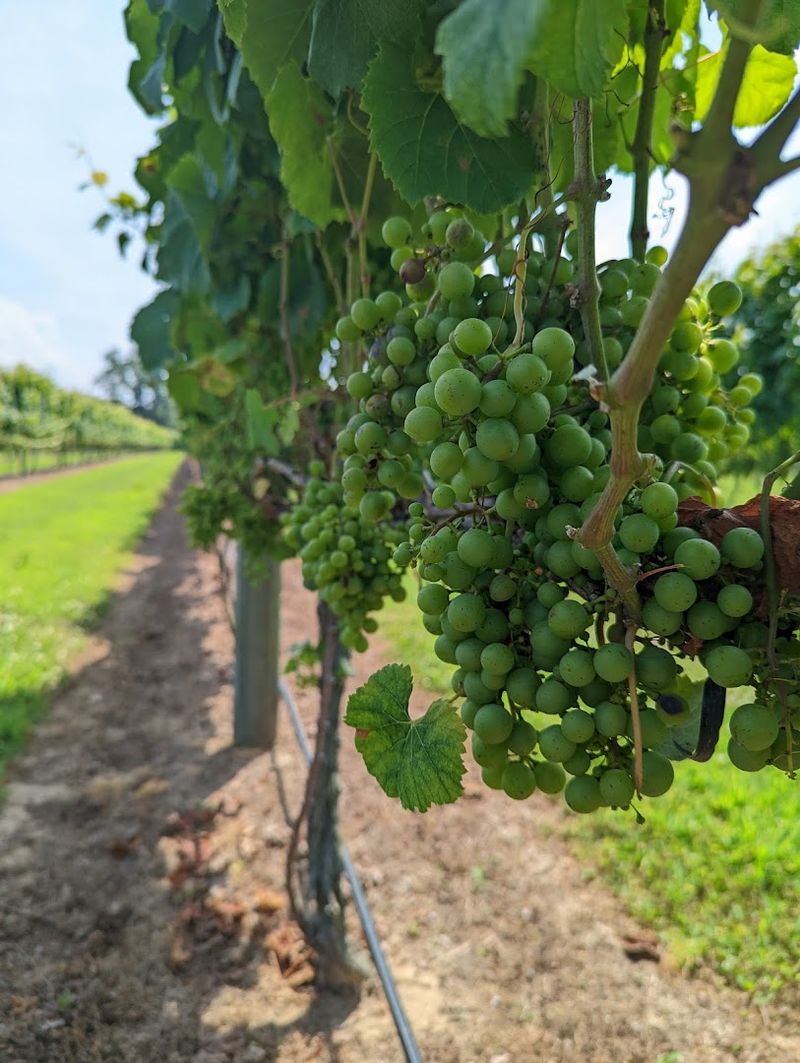 The Gardens That Deserve Their Own Feature