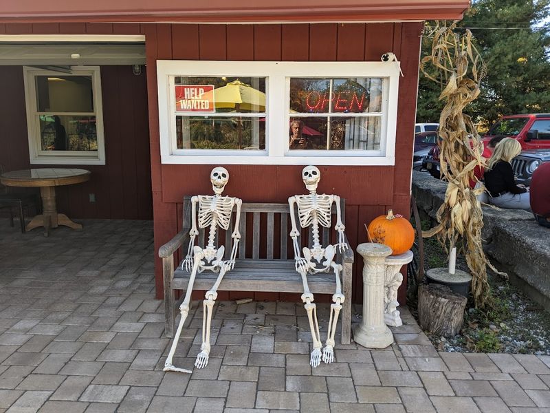 Christmas Trees and Seasonal Highlights