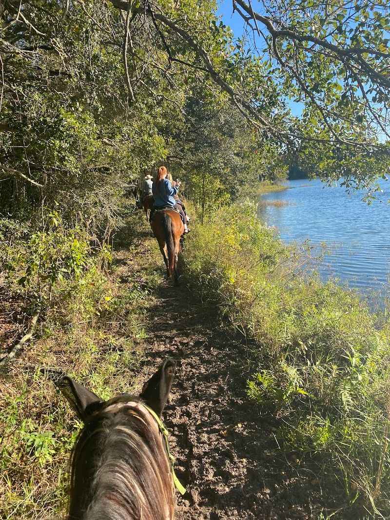 The Trail Experience: What You Actually See and Feel