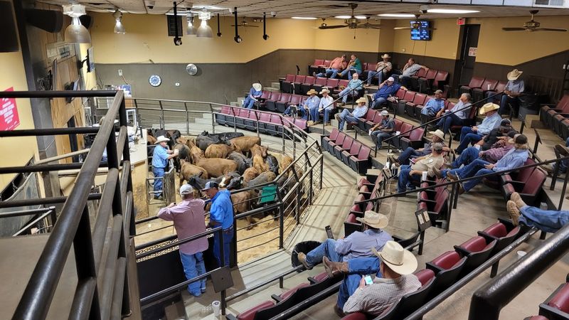 How the Auction Actually Works