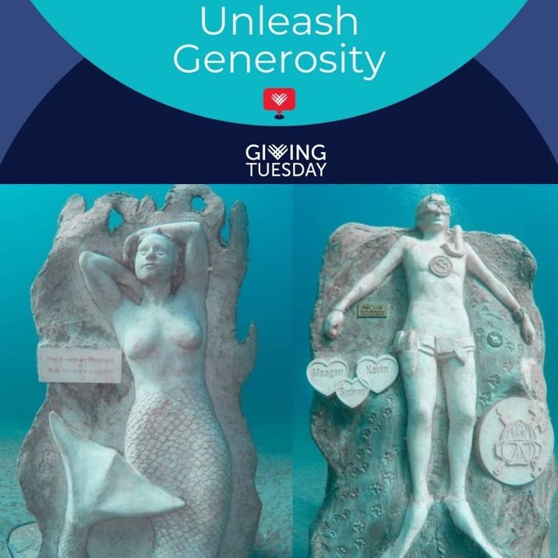 What to Expect on a Dive or Snorkel Trip