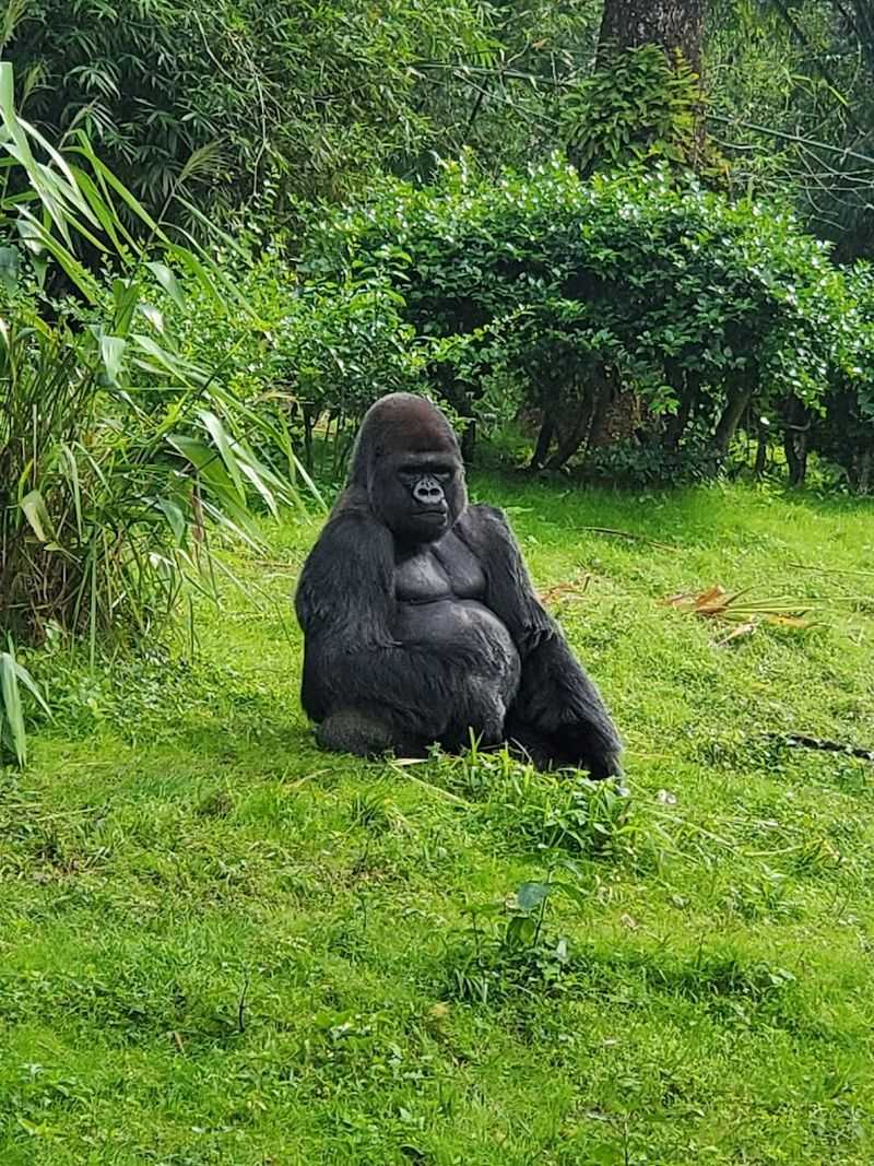 Cast Members and Wildlife Knowledge
