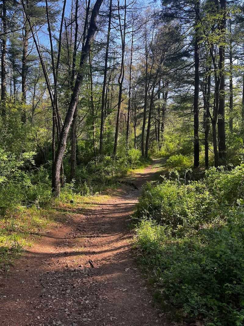 Hiking Trails Worth Lacing Up For