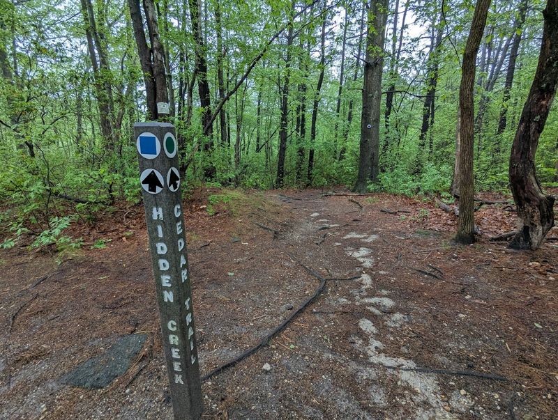 Trail System Overview: More Miles Than Most Expect