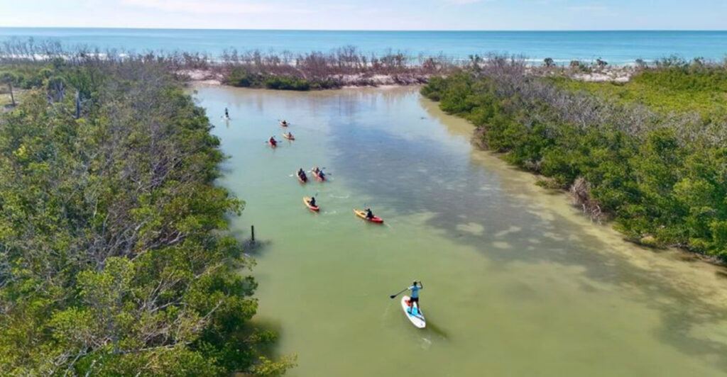 A Short Ferry Ride in Florida Takes You to an Island State Park Covered in Seashells