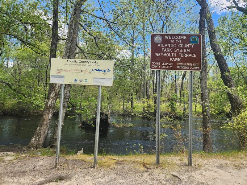 Practical Tips Before You Pack the Car