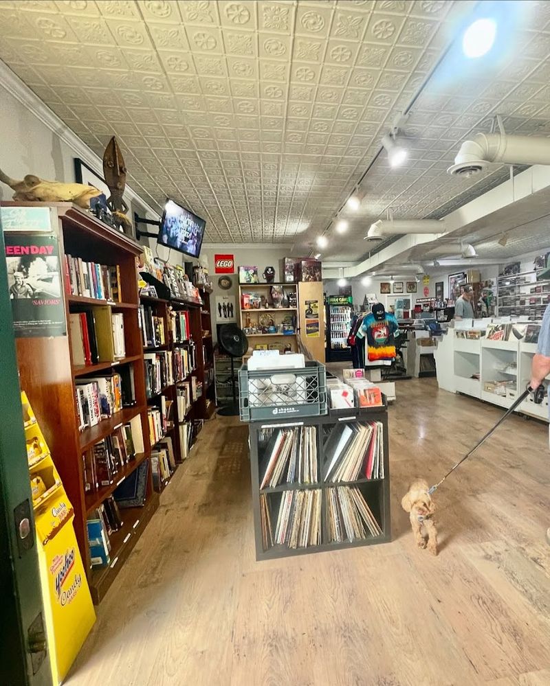 Planning Your Visit and What to Expect