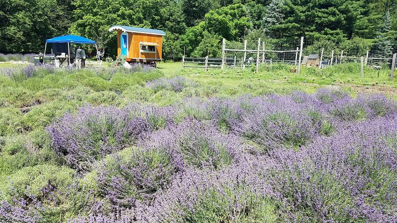 Best Times to Visit and What to Expect