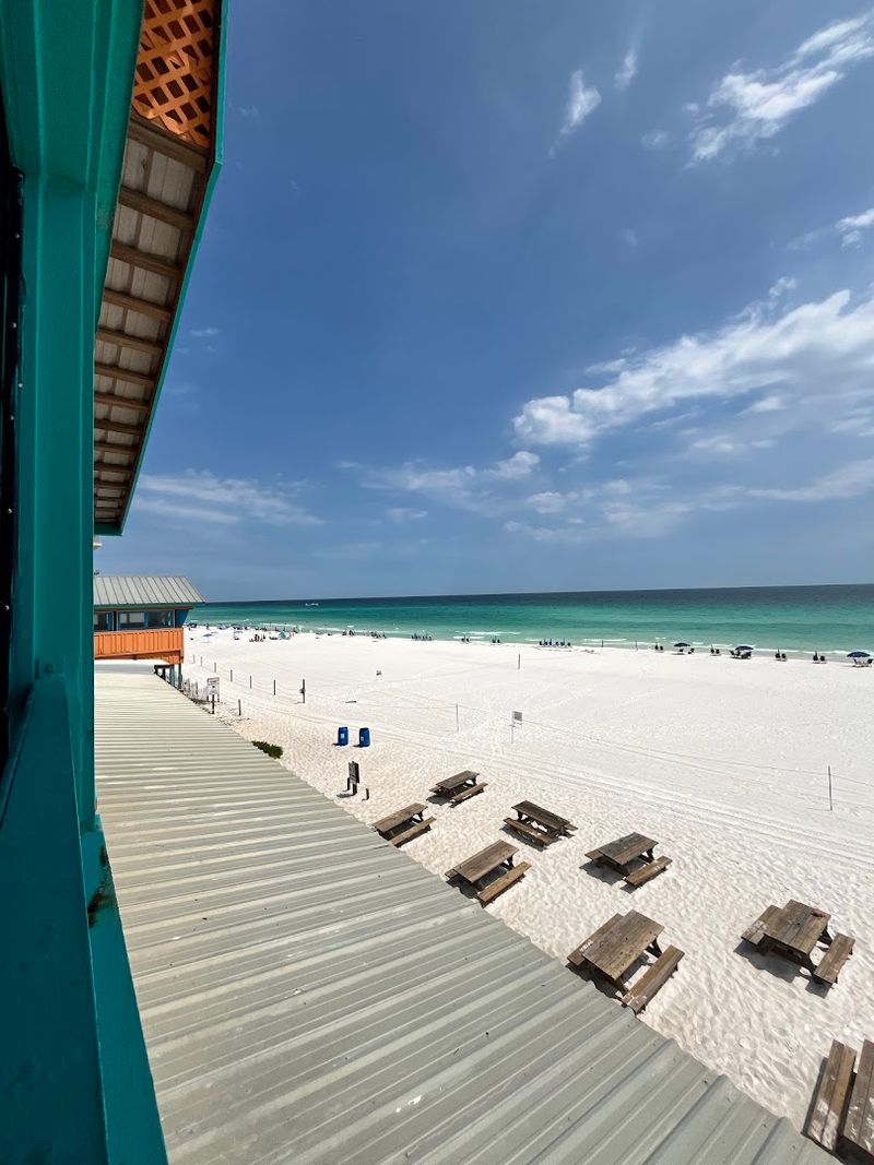 That View Though: The Gulf of Mexico From Your Table