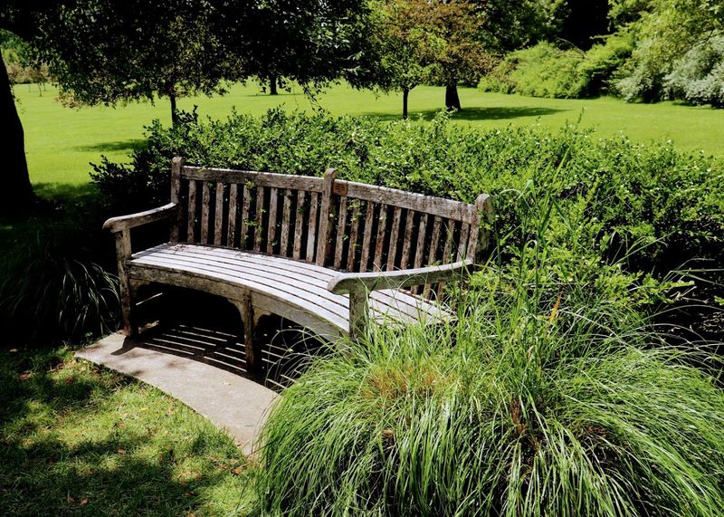 Dogs, Benches, and the Practical Side of a Visit