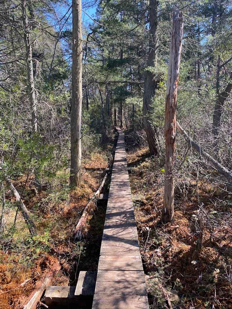 The White Trail and Its 40 Wooden Structures