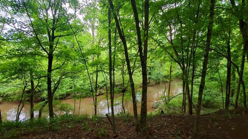 What Happens When the Sun Goes Down