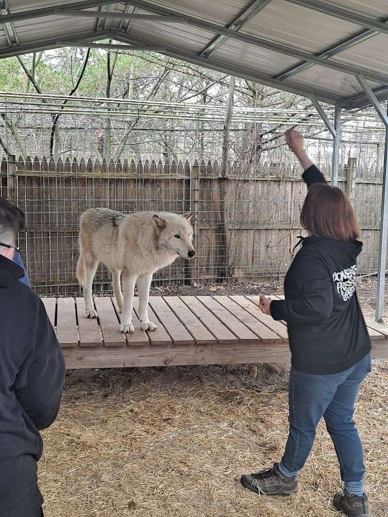 What Families and First Timers Should Know