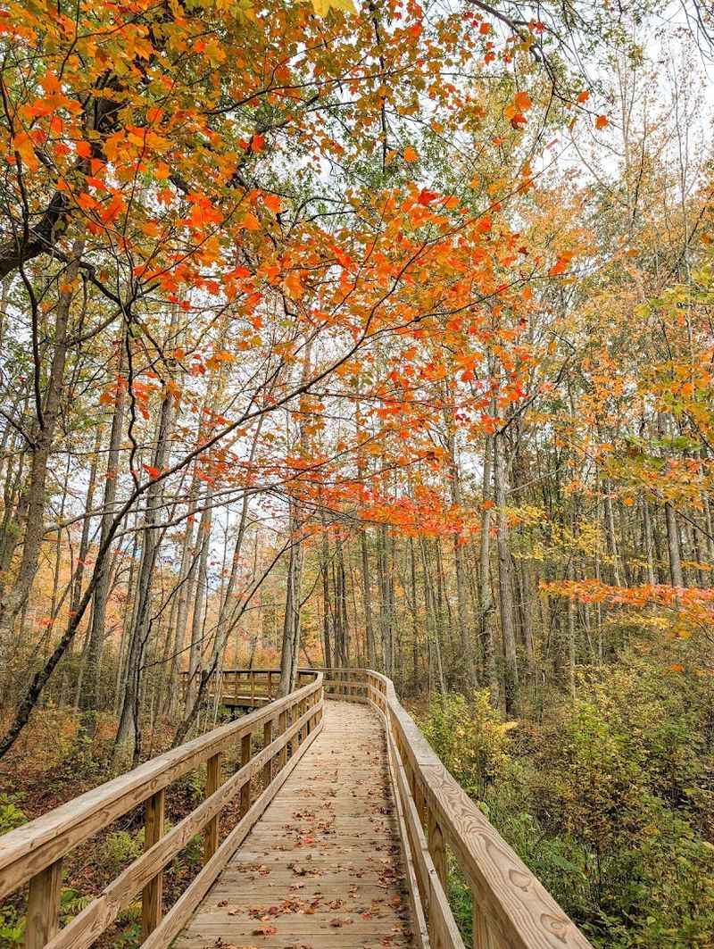 The Boardwalk Trails That Do the Heavy Lifting