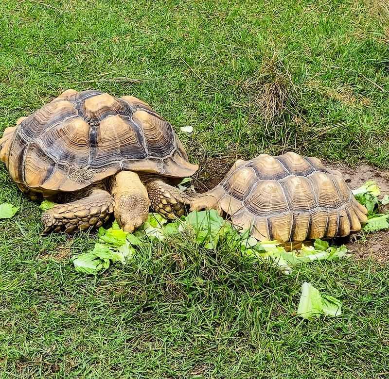 The Best Time to Arrive