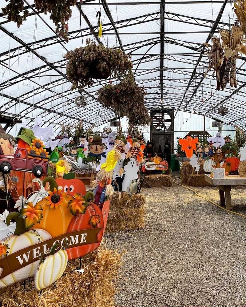 Special Events That Bring Extra Fun