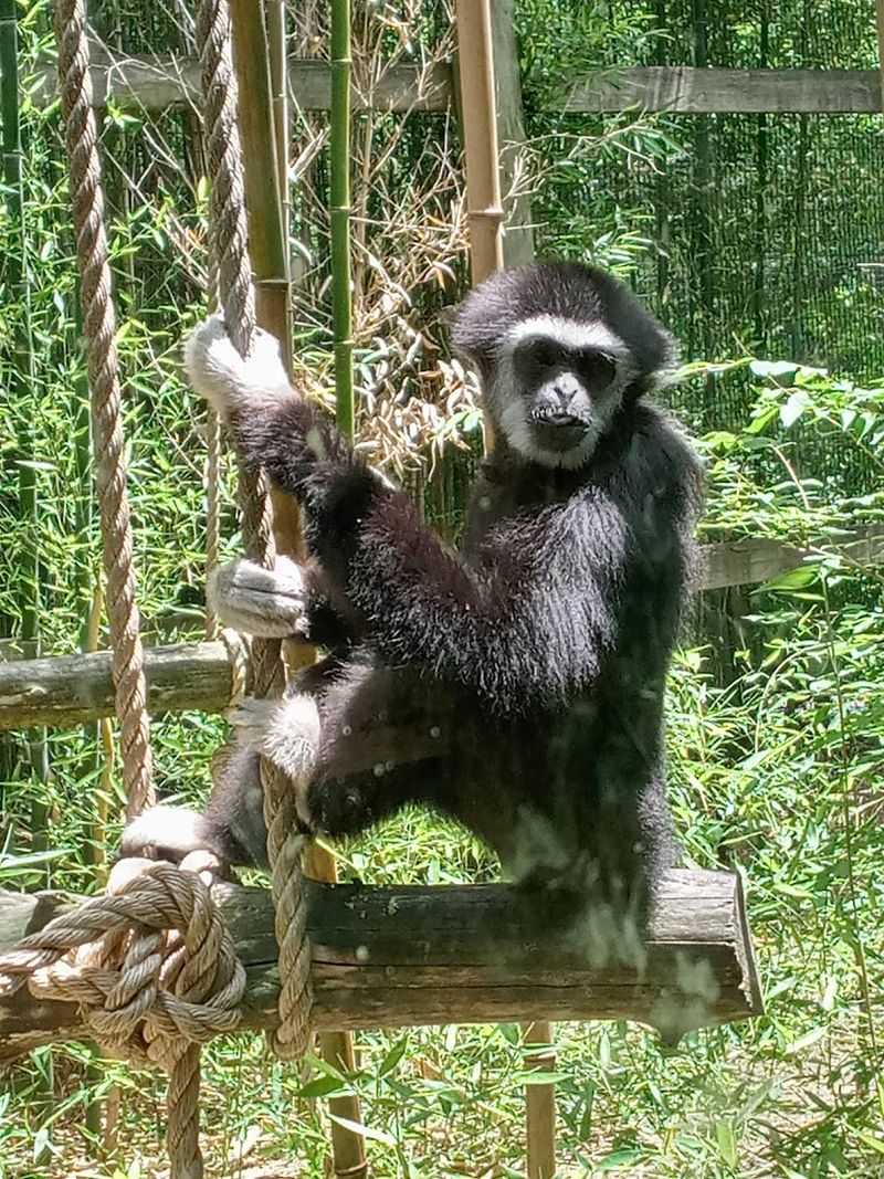 Perfect for Young Children and First Zoo Visits