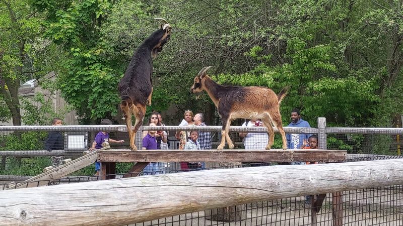 The Price Tag That Makes It a No-Brainer