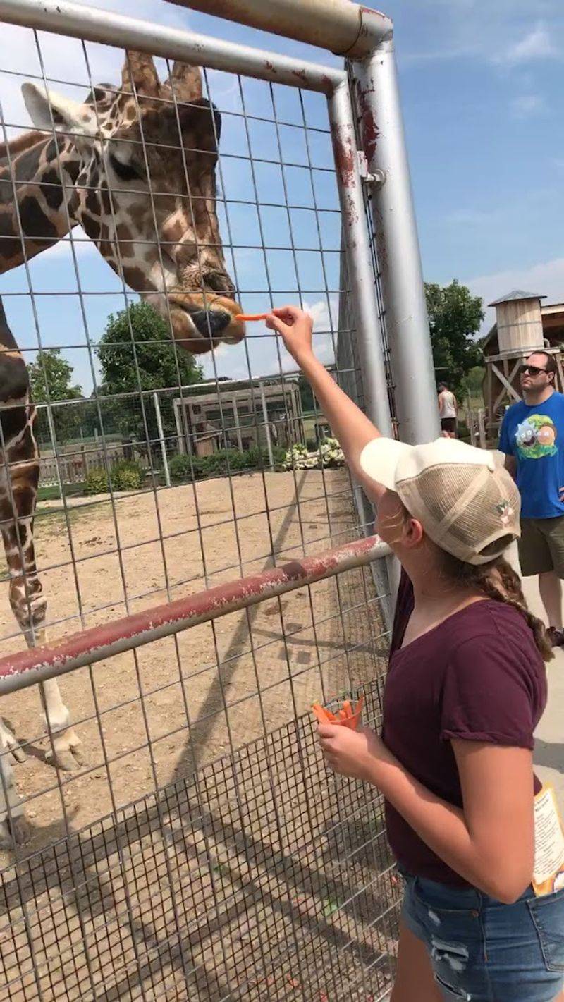 The feeding stations steal the show