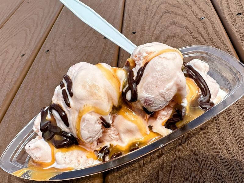 The scoop sizes are not joking