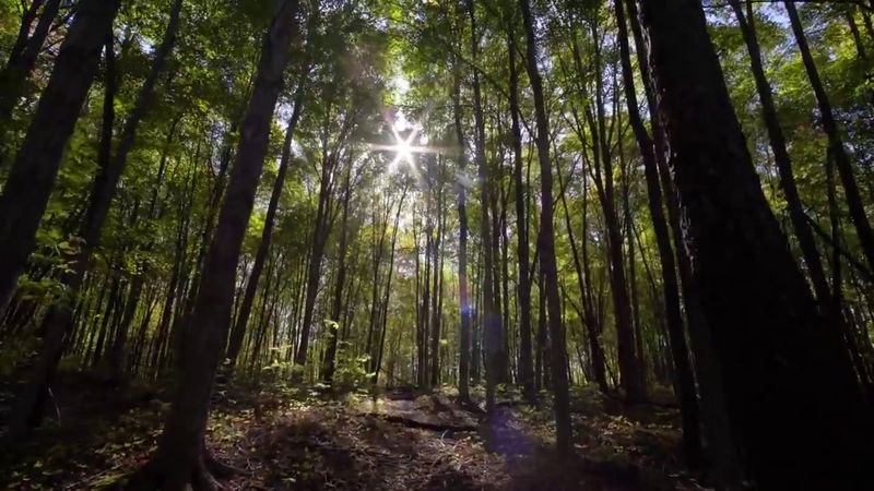 Why I would actually go back