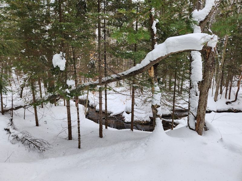 Those hills keep things interesting