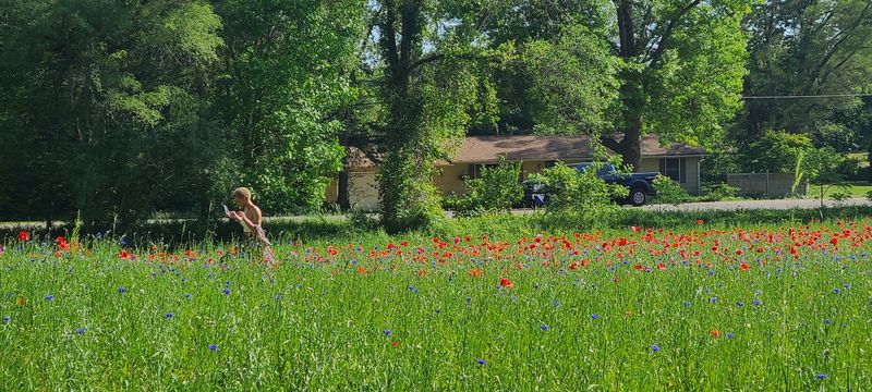 The paths that keep it beautiful