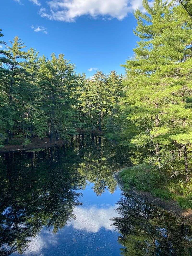 Best seasons and timing