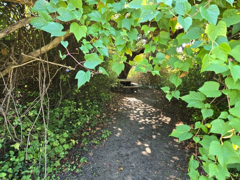 Why the route feels friendly