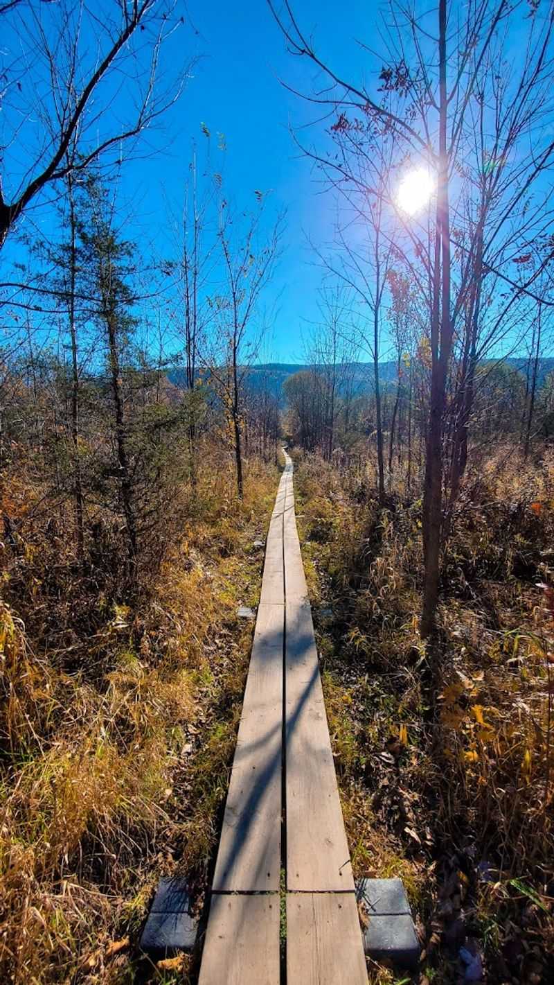 The boardwalk approach