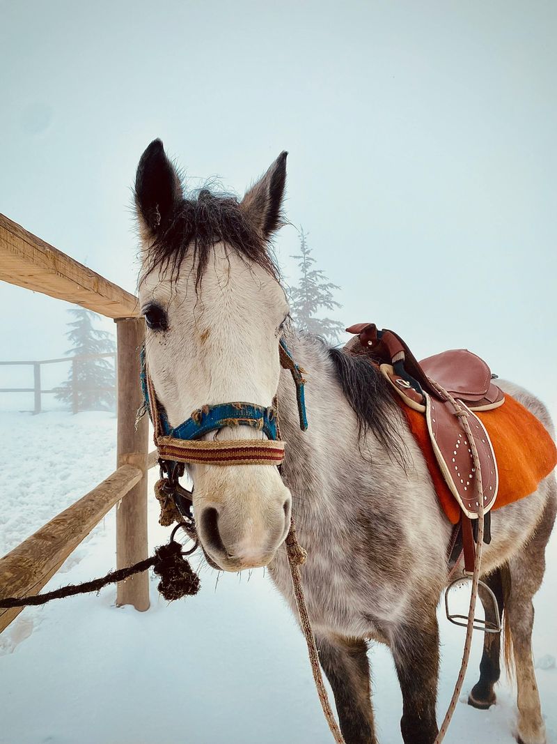 Why beginners can relax here