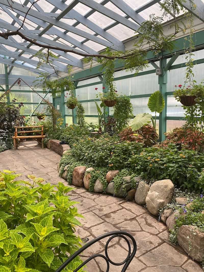 Inside the butterfly garden