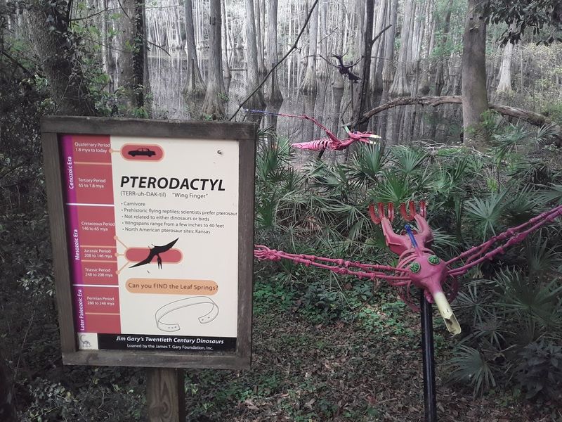 Best Times to Visit and Practical Planning Tips