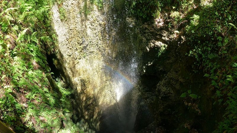 Wildlife and Nature Sightings Along the Trail