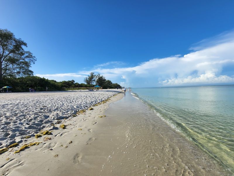 Snorkeling in the Clear Gulf Waters