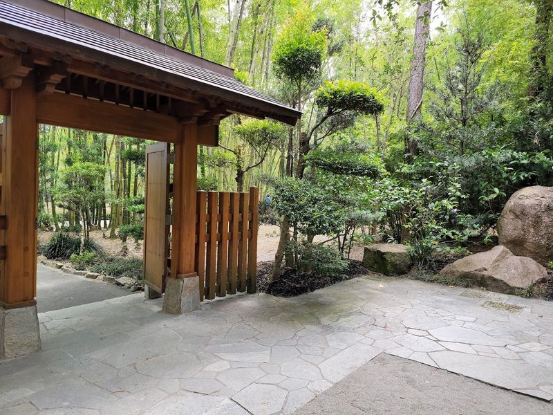 The Bloomberg Connects App: A Smarter Way to Explore