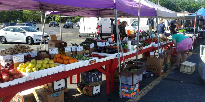 When to go for the best shot at a good day