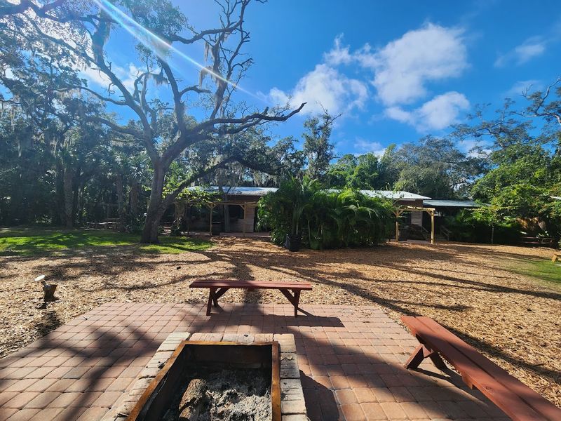 Planning Your Visit: Tips for Getting the Most Out of It