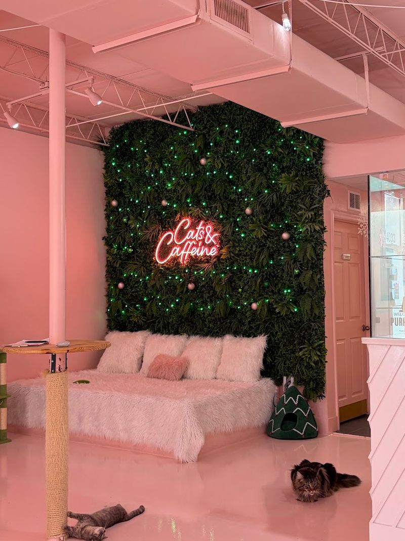 The Décor That Sets the Mood