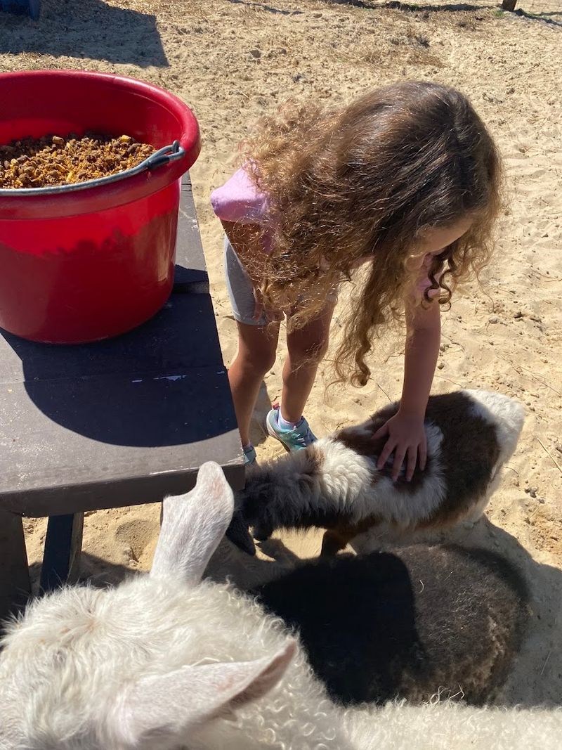 The Warm, Family-Run Atmosphere That Keeps People Coming Back