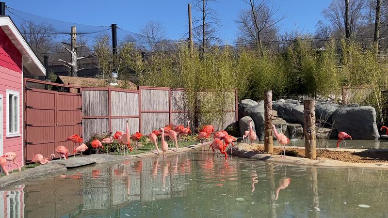 Turtle Back Zoo Is a Classic Family Zoo Day Done Right